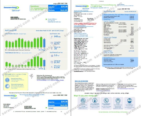 USA Consumers Energy utility bill template in Word and PDF formats, 2 pages, vesion 2